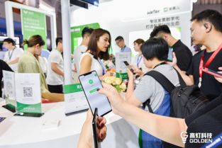 高燈科技亮相騰訊全球數字生態大會，專注打造智慧財稅極致體驗