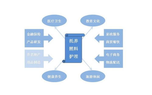 互聯(lián)網(wǎng) 養(yǎng)老服務(wù)信息化的新生力量與未來(lái)展望